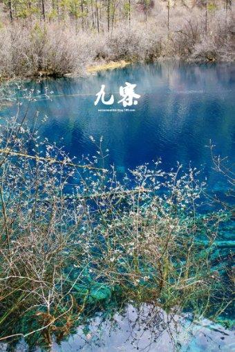 沙皇俄国的东扩：几乎如同白捡土地一样