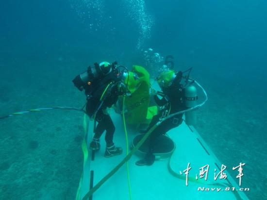 斑马 电读 下载